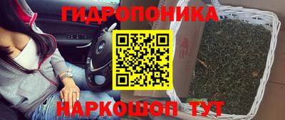 дмт Берёзовский