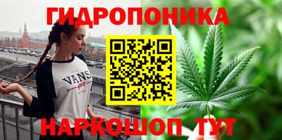 хмурый Бийск