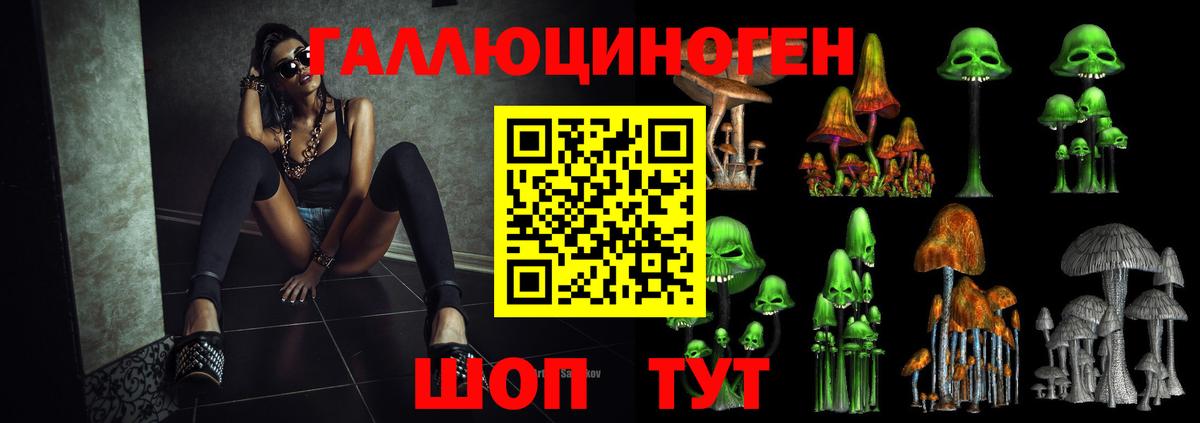 Галлюциногенные грибы мицелий  Псилоцибиновые грибы мицелий  Вход с VPN  купить наркоту  Каменск-Уральский 